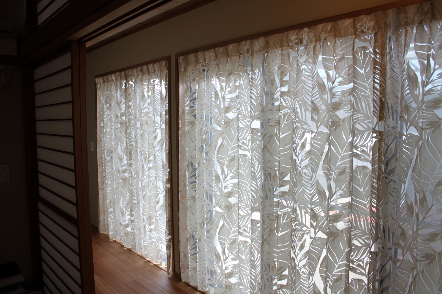 トロピカルなレース